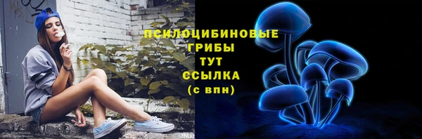 гидропоника Белокуриха