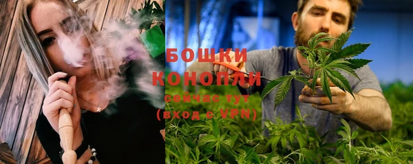 гидропоника Белокуриха